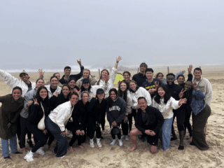 TEAM BUILDING & PICNICS
